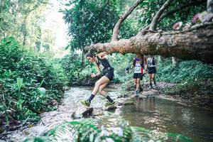 BIB: 
                            <button type="button" onclick="openModal(25433236)" class="btn btn-primary btn-sm float-right btn-popup" data-toggle="modal" data-target=".modal-high-quality">
                        <i class="fas fa-shopping-cart"></i> Add to Cart
                    </button>
                                            <button type="button" onclick="isThisMe(25433236, true)" class="btn btn-success btn-sm float-right btn-popup btn-isme hidden" data-toggle="tooltip" data-placement="bottom" title="นี่คือรูปของคุณใช่ไหม คลิกที่นี่เพื่อเอาเข้าอัลบั้ม">
                        <i class="fas fa-plus"></i> Add to album
                    </button>
                    <button type="button" onclick="isThisMe(25433236, false)" class="btn btn-warning btn-sm float-right btn-popup btn-isnotme hidden">
                        <i class="fas fa-ban"></i> Remove from album
                    </button>